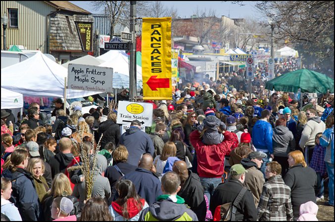 Maple Syrup Festival